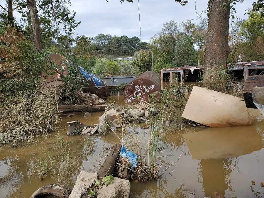 Floodwater, fallen trees and debris along a riverbank after a hurricane.